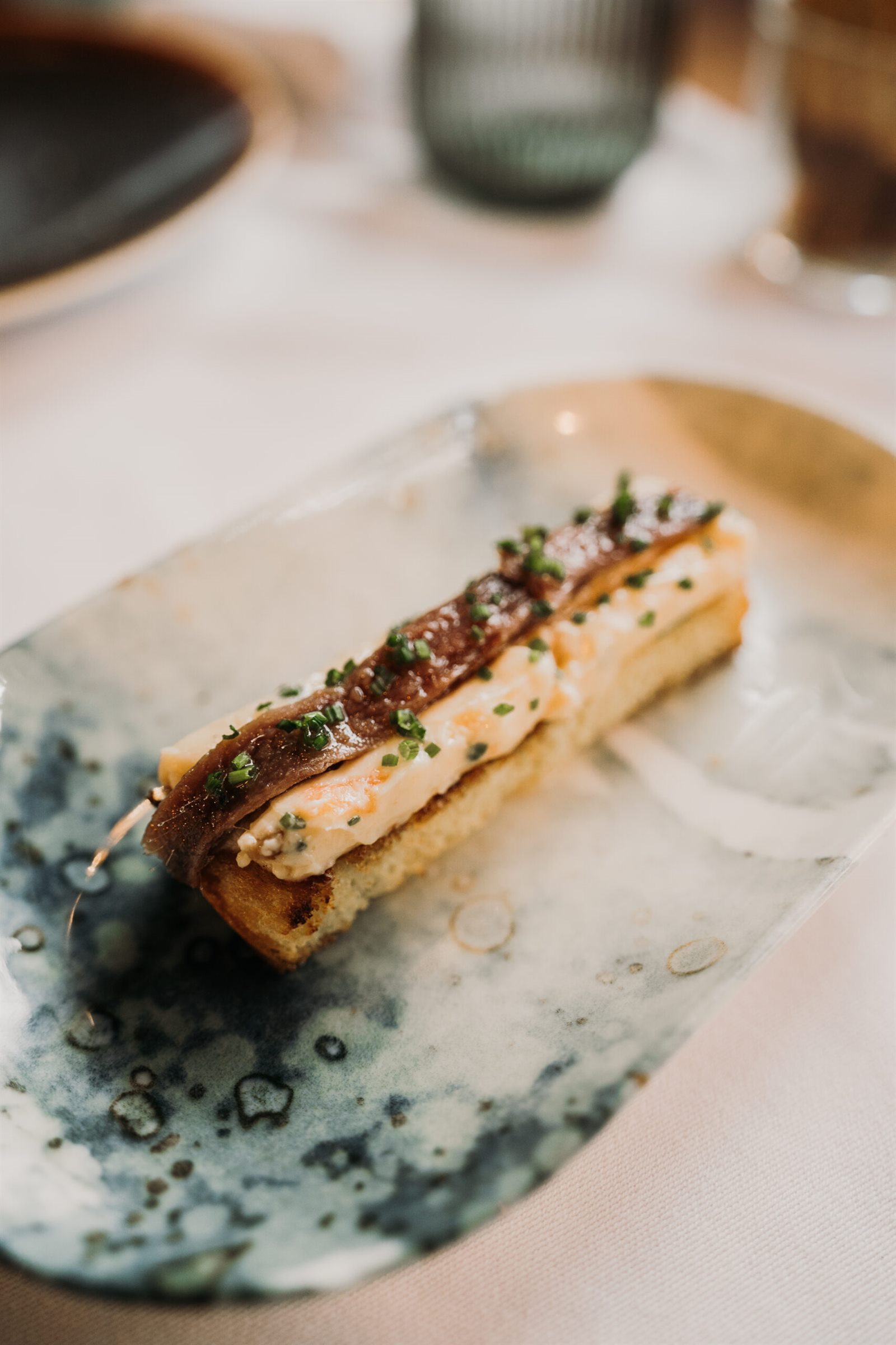 Anchoa del Cantábrico